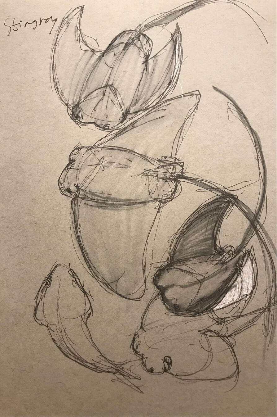 Untitled Untitled