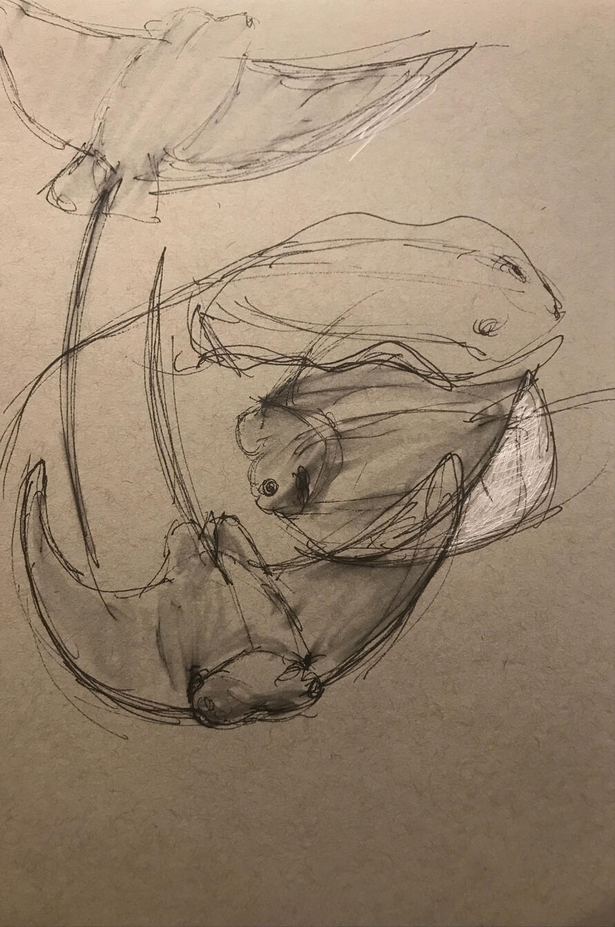Untitled Untitled